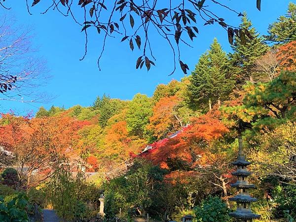 |青龍山.吉祥寺|有『花寺』之美名—北關東賞楓名所