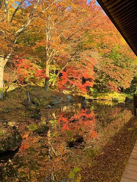 |青龍山.吉祥寺|有『花寺』之美名—北關東賞楓名所