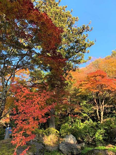 |青龍山.吉祥寺|有『花寺』之美名—北關東賞楓名所