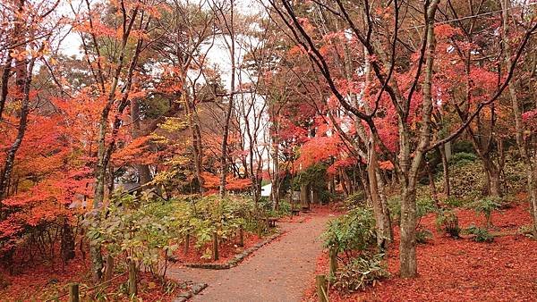 有馬溫泉【瑞寶寺公園】的楓紅之美