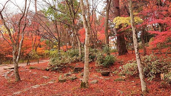 有馬溫泉【瑞寶寺公園】的楓紅之美