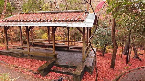 有馬溫泉【瑞寶寺公園】的楓紅之美