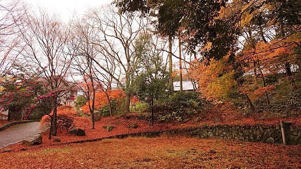 有馬溫泉【瑞寶寺公園】的楓紅之美