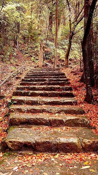 有馬溫泉【瑞寶寺公園】的楓紅之美