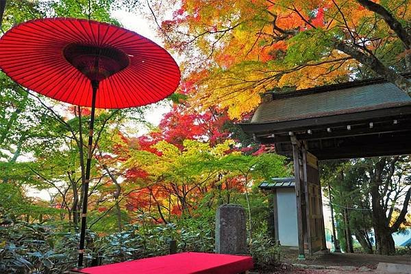 有馬溫泉【瑞寶寺公園】的楓紅之美