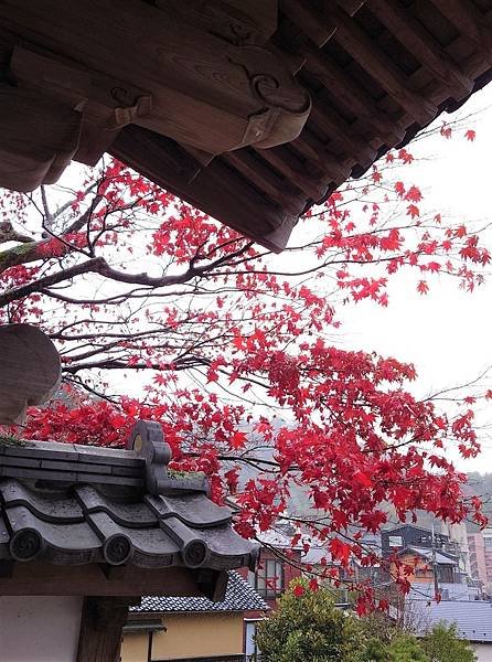 有馬溫泉【瑞寶寺公園】的楓紅之美