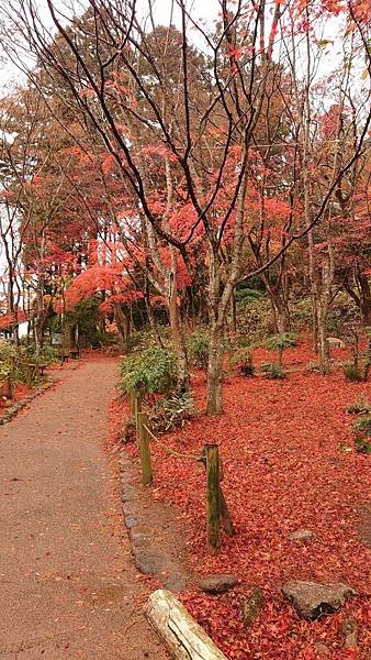 有馬溫泉【瑞寶寺公園】的楓紅之美