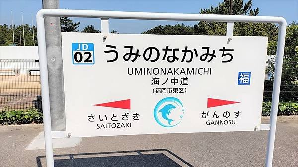 【海之中道海濱公園】遊福岡必賞…2023超夢幻粉蝶花