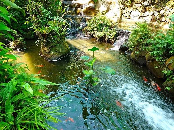 久違的馬來西亞&gt;&gt;&gt;自由行D6&gt;&gt;吉隆坡蝴蝶園.植物園.清水