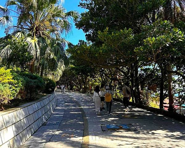 【金山.萬里.石門走一遭】野柳地質公園.女王頭.金山老街.富