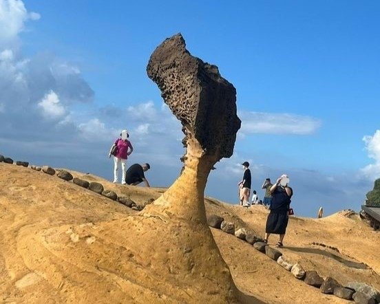 【金山.萬里.石門走一遭】野柳地質公園.女王頭.金山老街.富