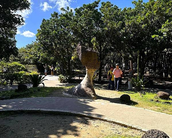 【金山.萬里.石門走一遭】野柳地質公園.女王頭.金山老街.富