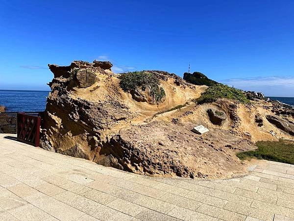 【金山.萬里.石門走一遭】野柳地質公園.女王頭.金山老街.富