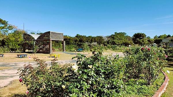 【福岡雙人行】海之中道海濱公園.西戶崎港.福岡塔.戀人聖地