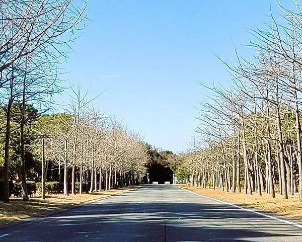 【福岡雙人行】海之中道海濱公園.西戶崎港.福岡塔.戀人聖地