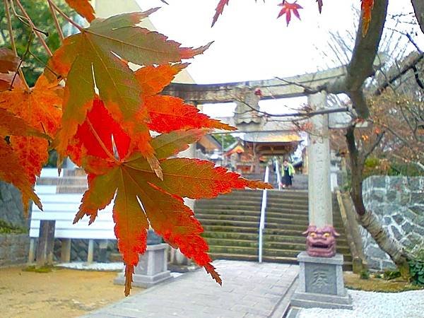 【福岡雙人行】紅葉八幡宮.在福岡的綠洲-大濠公園-散散步.吃