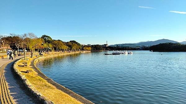 【福岡雙人行】紅葉八幡宮.在福岡的綠洲-大濠公園-散散步.吃