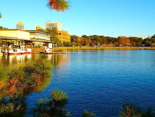 【福岡雙人行】紅葉八幡宮.在福岡的綠洲-大濠公園-散散步.吃