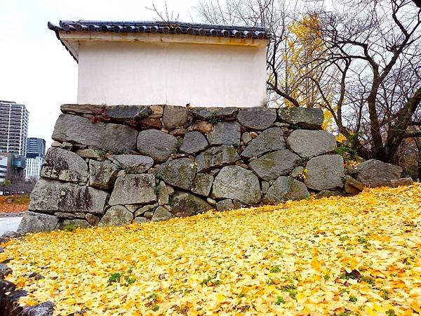 【福岡雙人行Ⅲ】舞鶴公園.櫛田神社.博多運河城.東長寺.博多