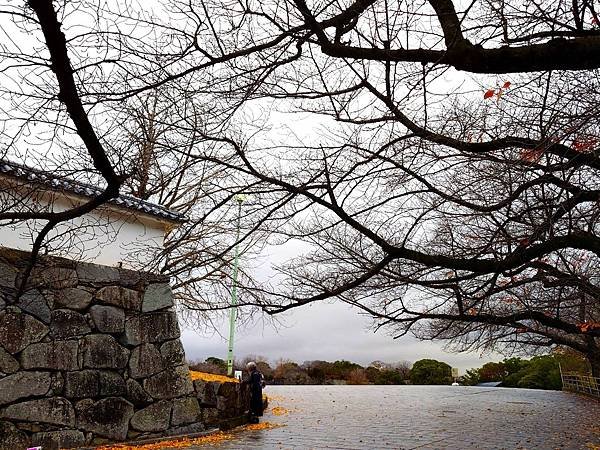 【福岡雙人行Ⅲ】舞鶴公園.櫛田神社.博多運河城.東長寺.博多