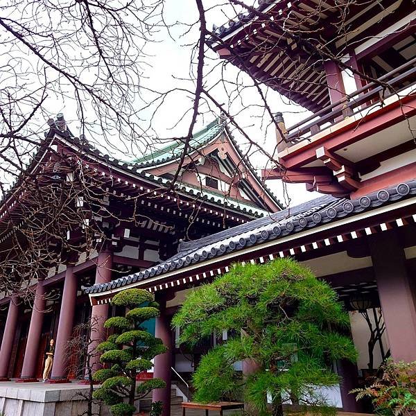 【福岡雙人行Ⅲ】舞鶴公園.櫛田神社.博多運河城.東長寺.博多