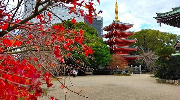 【福岡雙人行Ⅲ】舞鶴公園.櫛田神社.博多運河城.東長寺.博多