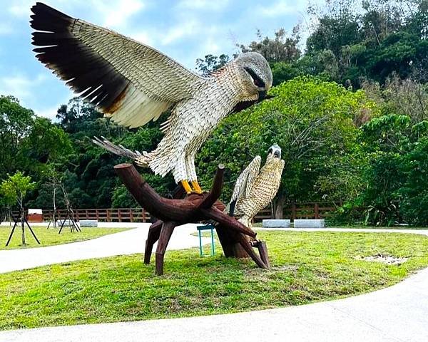 桃園大溪落羽松秘境=月眉人工濕地生態公園.落羽松公園.土埆厝