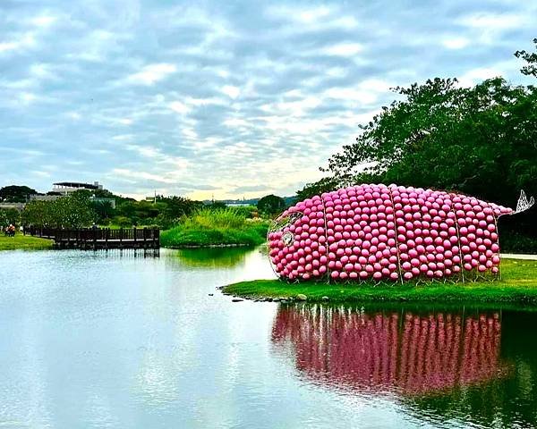 桃園大溪落羽松秘境=月眉人工濕地生態公園.落羽松公園.土埆厝