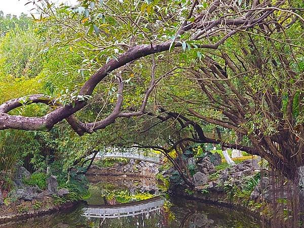 訪友吃喝ing【千燈湖公園.燈湖西街.礌崗公園】岭南逸品.桂