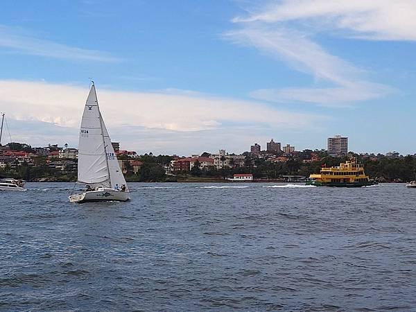 【雪梨必訪】雪梨港灣大橋.Sydney Harbour Br