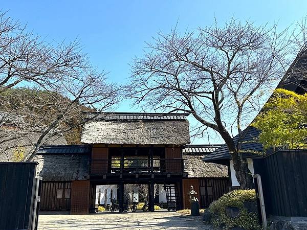 【日本關東賞櫻行】十間橋.成田櫻山公園.冰川神社.吉祥寺.新