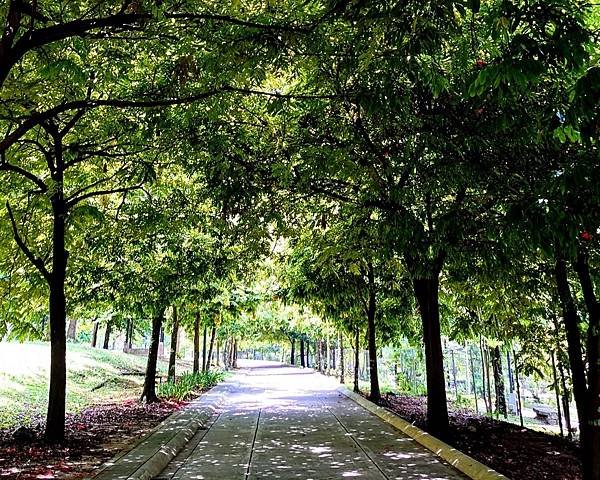 【好友相約馬國碰】之流連忘返南洋行-吉隆坡植物園Perdan