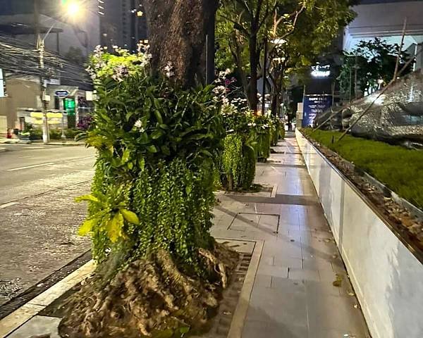 日本黃金週的泰國渡假遊/自由行=美功鐵道市場.杜拉拉水上市場