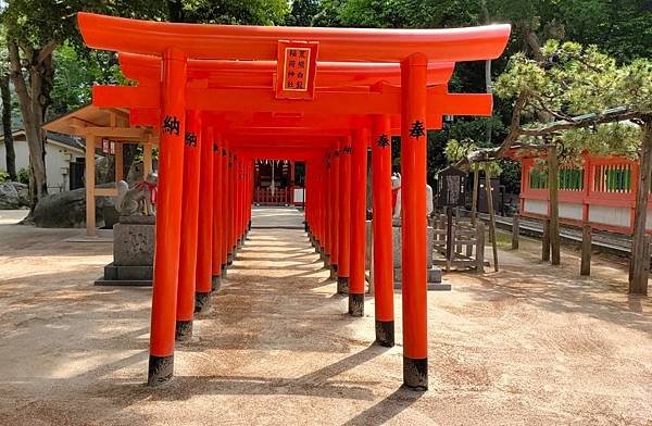 【福岡神社行】日本第一住吉神社.千年神社-櫛田神社.池泉迴遊