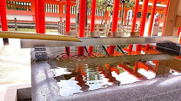 【福岡神社行】日本第一住吉神社.千年神社-櫛田神社.池泉迴遊