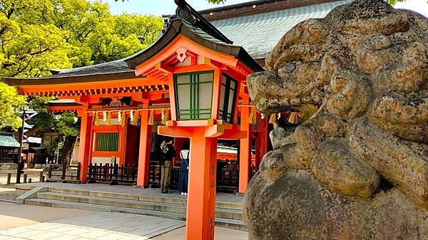 【福岡神社行】日本第一住吉神社.千年神社-櫛田神社.池泉迴遊