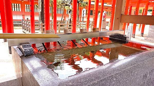 【福岡神社行】日本第一住吉神社.千年神社-櫛田神社.池泉迴遊