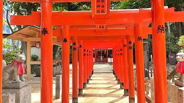 【福岡神社行】日本第一住吉神社.千年神社-櫛田神社.池泉迴遊