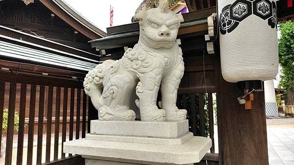 【福岡神社行】日本第一住吉神社.千年神社-櫛田神社.池泉迴遊