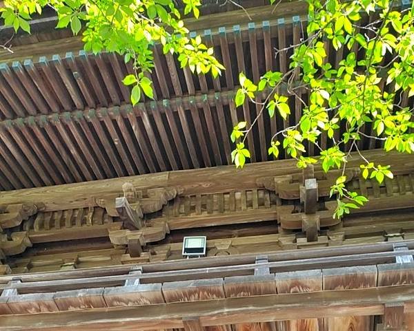 【福岡神社行】夫婦之宮--香椎宮.日本三大八幡--筥崎宮.超