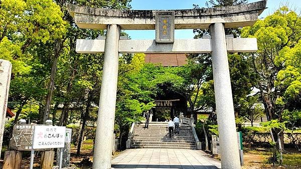 【福岡神社行】夫婦之宮--香椎宮.日本三大八幡--筥崎宮.超