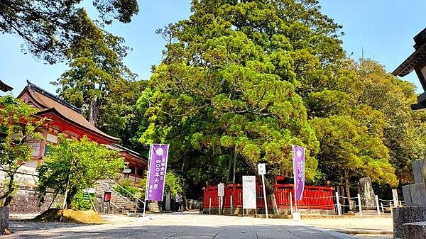 【福岡神社行】夫婦之宮--香椎宮.日本三大八幡--筥崎宮.超