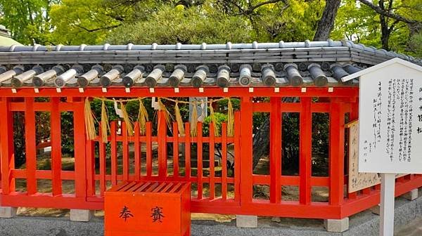 【福岡神社行】夫婦之宮--香椎宮.日本三大八幡--筥崎宮.超