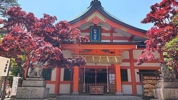 【福岡神社行】走進千年神社…紅葉八幡宮.音次郎稻荷神社.愛宕