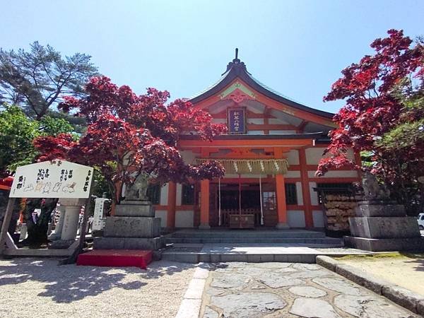 【福岡神社行】走進千年神社…紅葉八幡宮.音次郎稻荷神社.愛宕