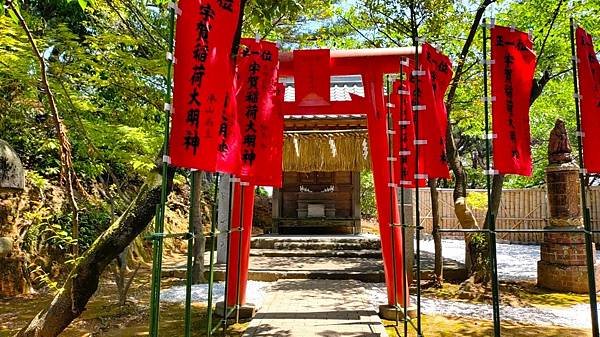 【福岡神社行】走進千年神社…紅葉八幡宮.音次郎稻荷神社.愛宕