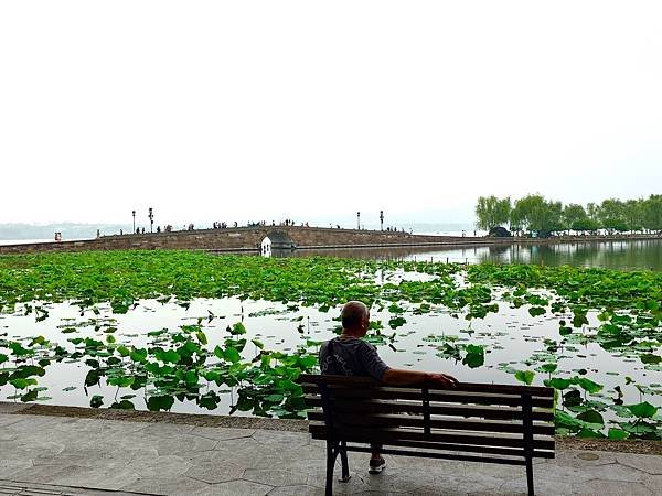 【人間天堂蘇州遊8】花港觀魚.楊公堤.蘇堤.白堤.斷橋殘雪.