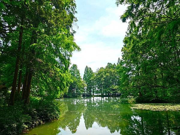 【人間天堂蘇州遊8】花港觀魚.楊公堤.蘇堤.白堤.斷橋殘雪.