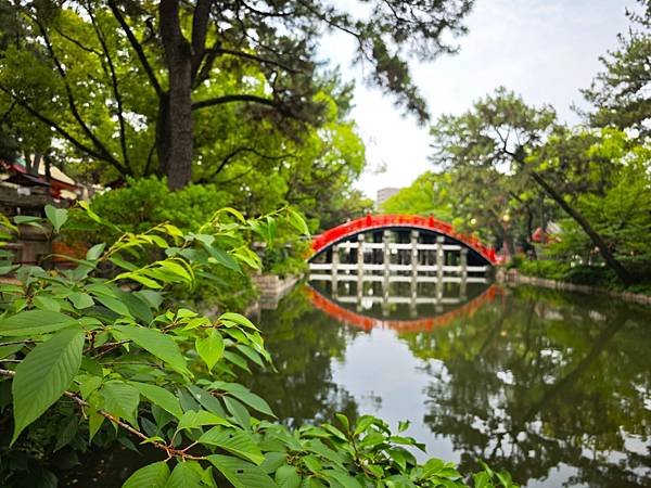 【國寶級神社-住吉大社】大阪必訪能量景點.反橋.住吉神社.種