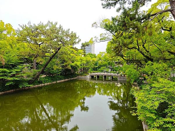 【國寶級神社-住吉大社】大阪必訪能量景點.反橋.住吉神社.種